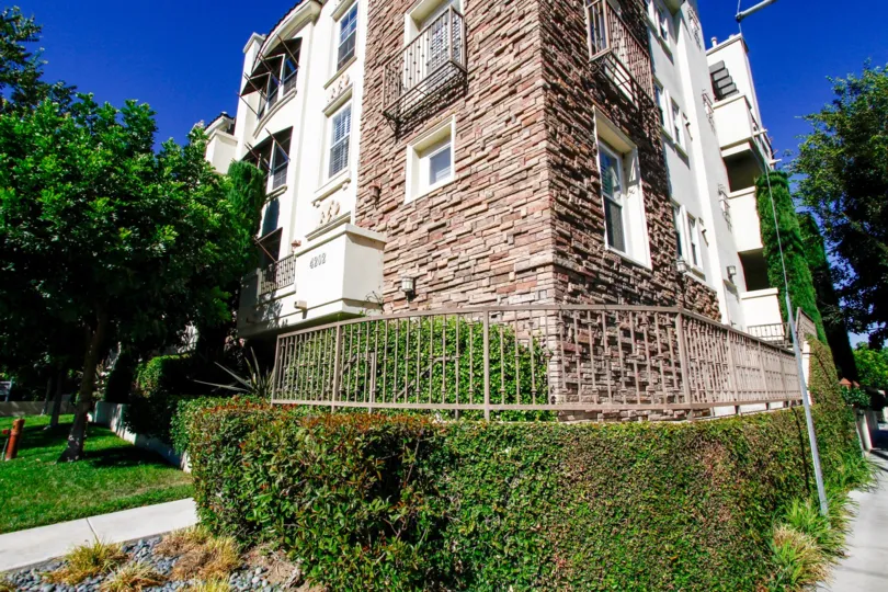 The hedges around 4202 Whitsett Ave