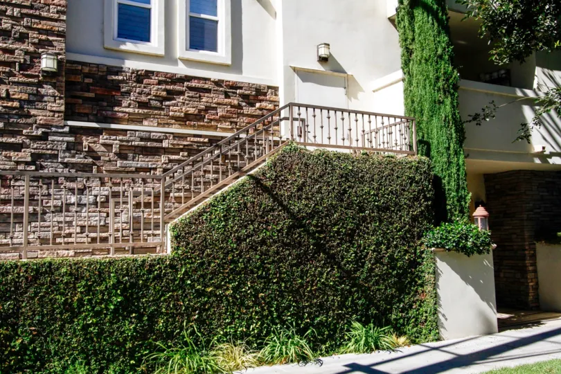 The stairs up to 4202 Whitsett Ave