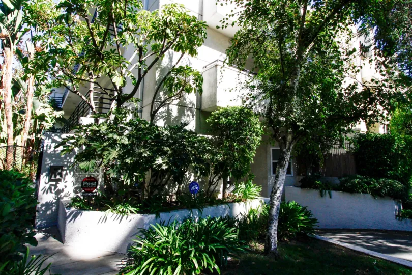 The landscaping at 4212 Whitsett Ave