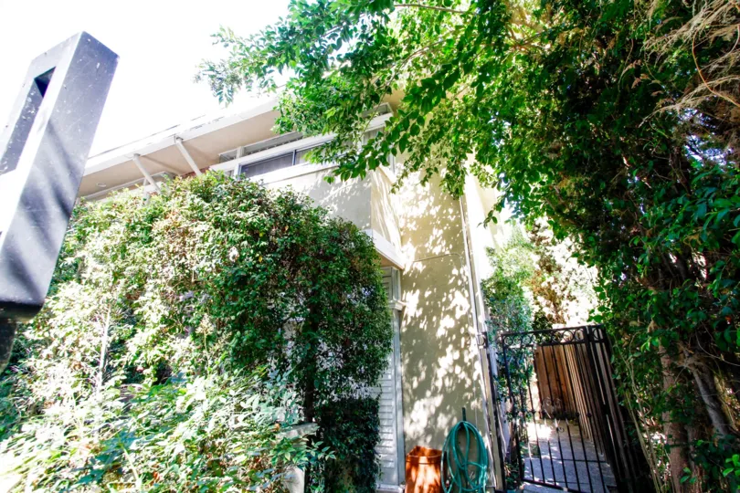The landscaping at 4312 Gentry Ave in Studio City