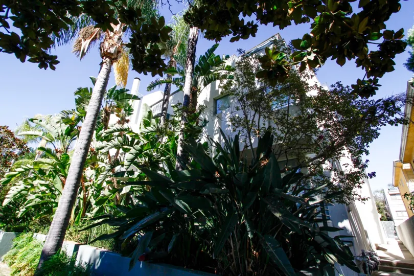 The landscaping around 4326 Babcock Ave