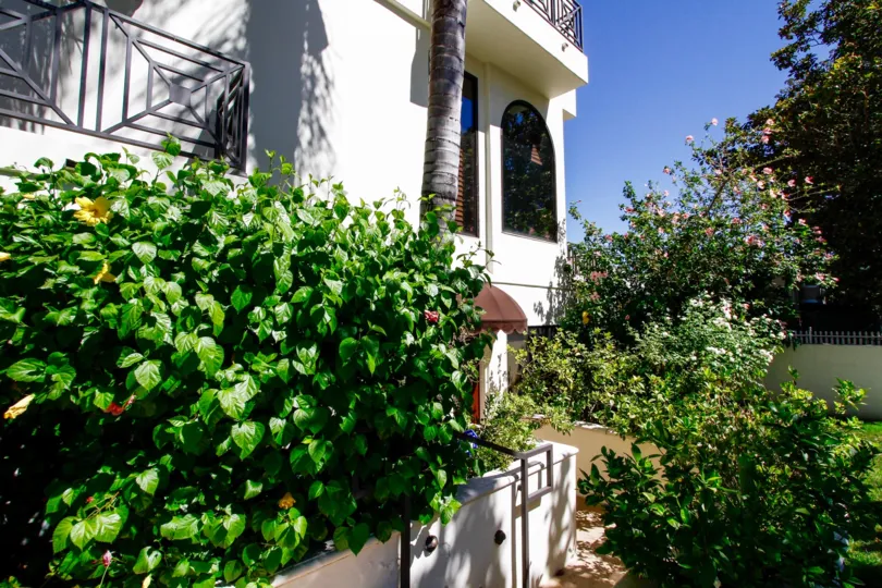 The landscaping seen at 4328 Gentry Ave in Studio City