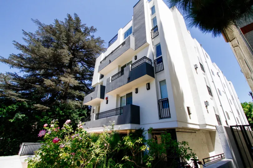 The landscaping around 4374 Troost in Studio City