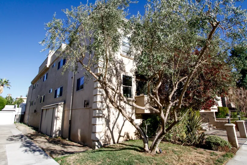 The landscaping seen around 4466 Coldwater Canyon Ave
