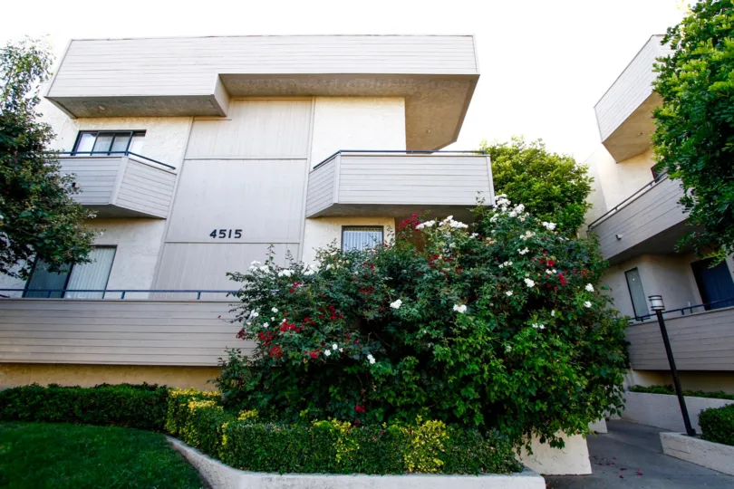 The landscaping seen around 4515 Coldwater Canyon Ave