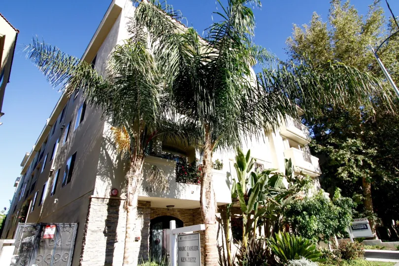 The landscaping at 4550 Coldwater Canyon in Studio City