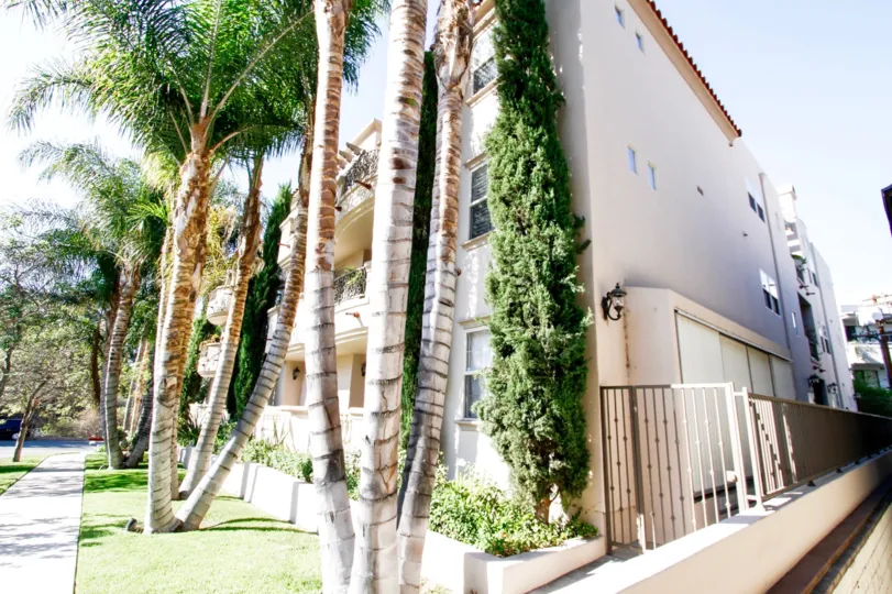 The view of Bela Sera in Studio City