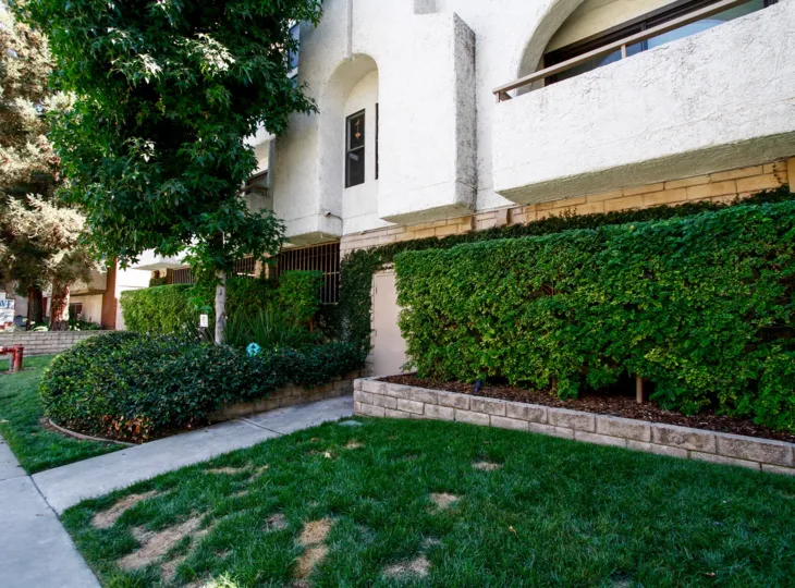 The yard in front of Bluffside Court