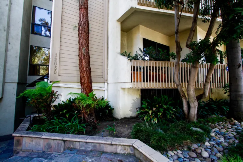 The trees around Casa De Valleyheart
