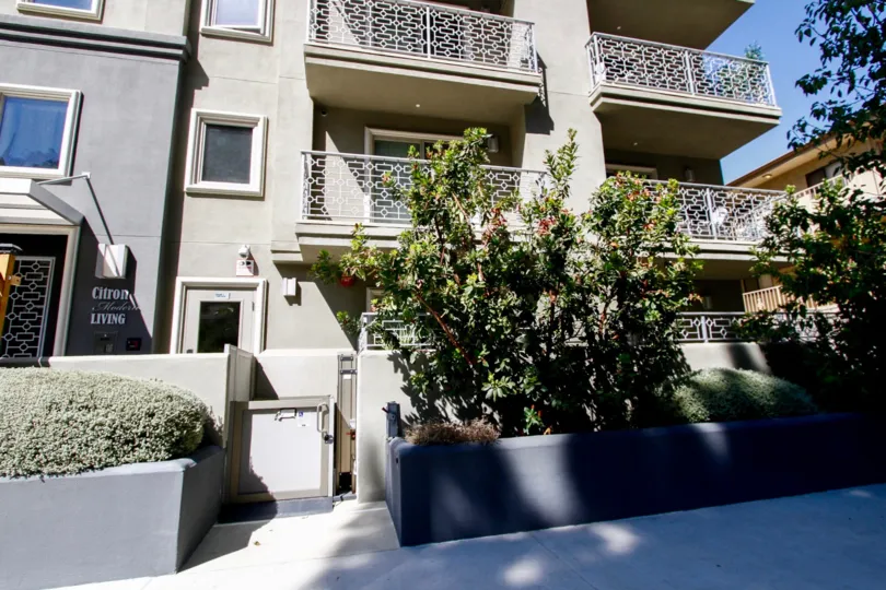 The landscaping around the Citron Modern Living