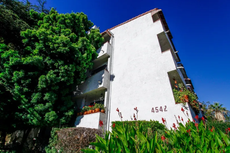The landscaping around Coldmill  Manor in Studio City