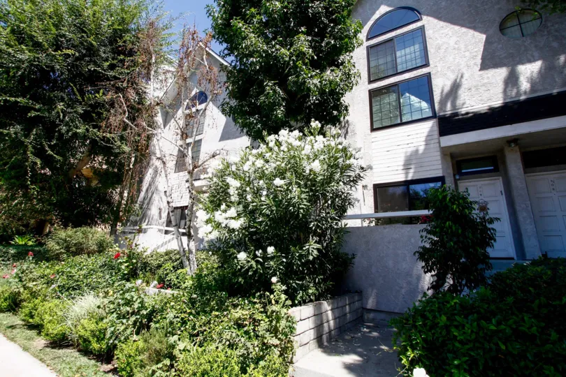 The landscaping around Colfax Gardens in Studio City