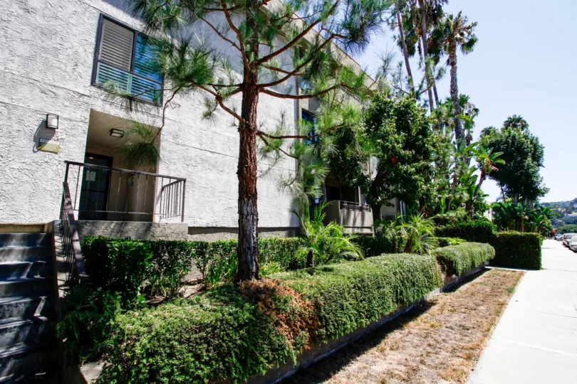 The landscaping around the Colfax Meadows in Studio City