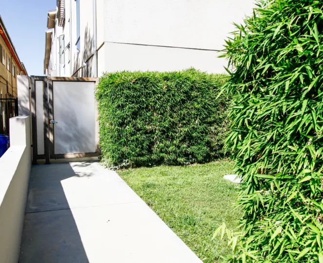 The sidewalk up to the Deck House