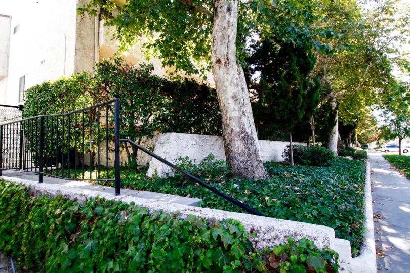 The landscaping seen around La Madrugada