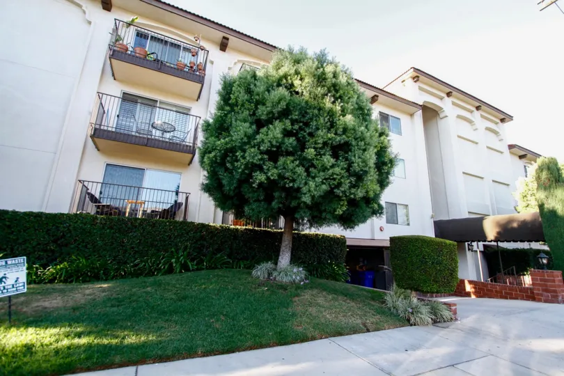 The landscaping at Park Condominiums in Studio City