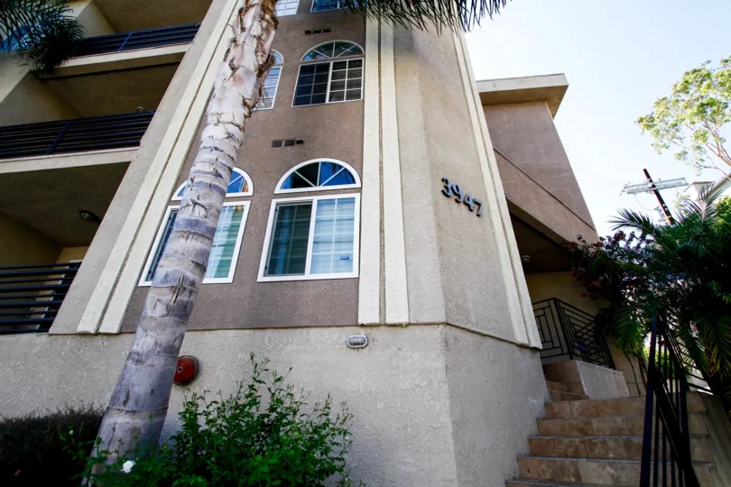 The address of Studio Vista Living written on the building
