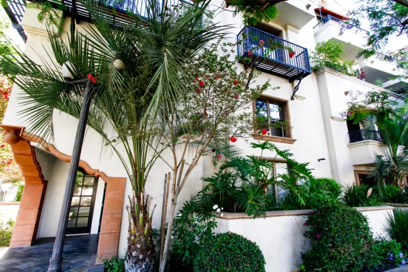 The trees around the Tamara Condominiums