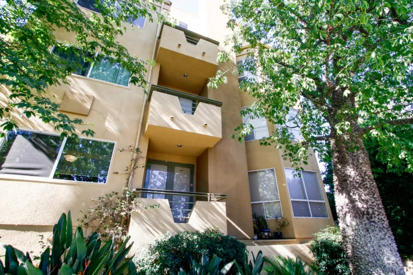 The windows seen at Toscana Court in Studio City
