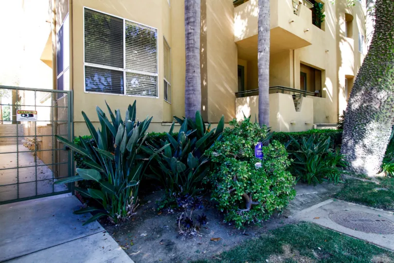 The plants planted around the Toscana Court building