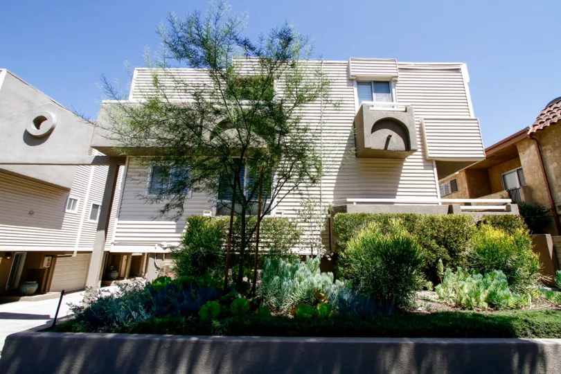 The landscaping around Tujunga North in Studio City