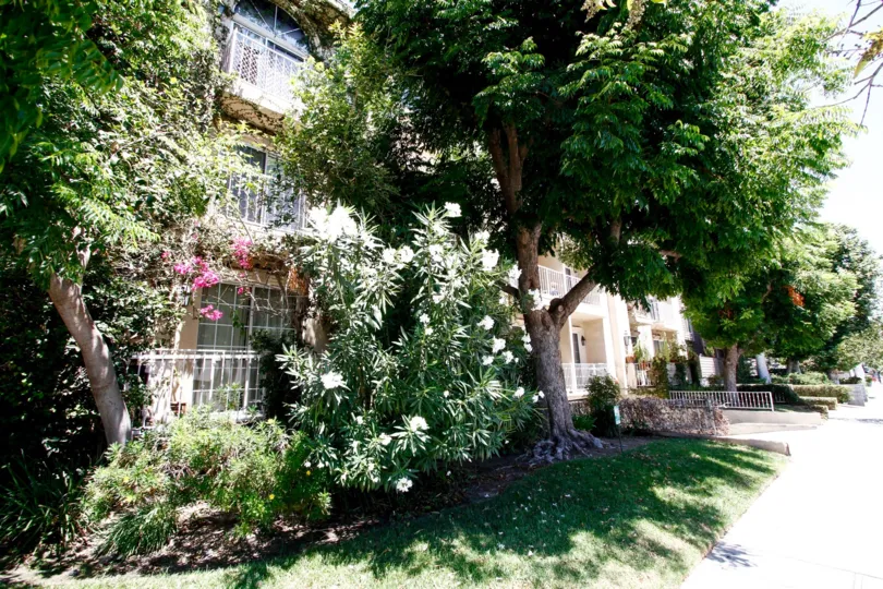 The landscaping seen around Villas at Moorpark in Studio City