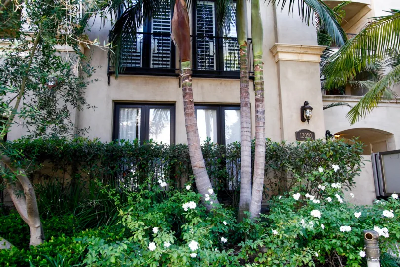 The landscaping around the Vita Belle in Studio City