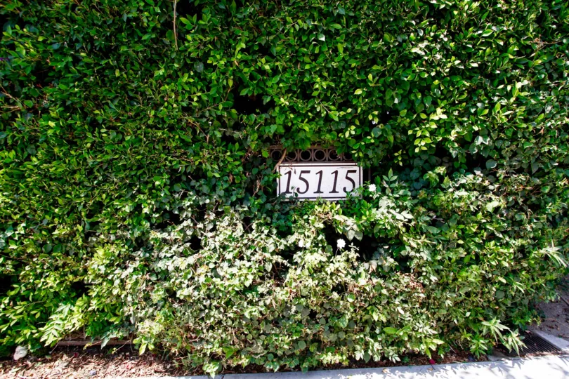 The address seen at 29 Mountain View