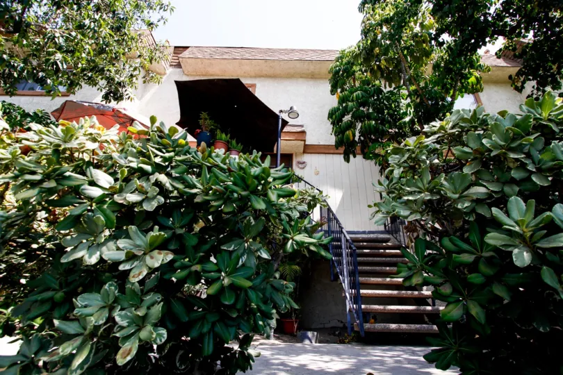 The landscaping around Mountain Grove Villas