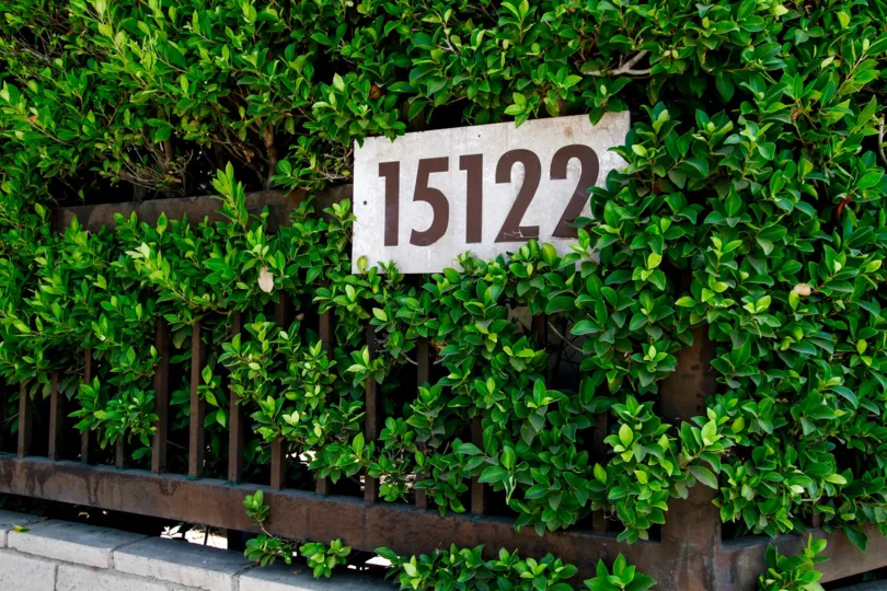 The address for Mountain View on Roxford in Sylmar California