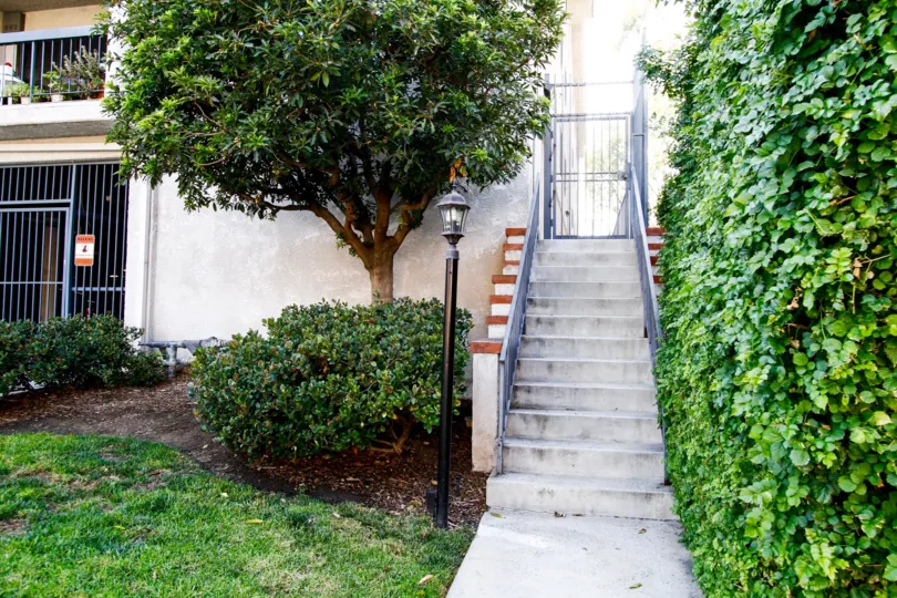 The stairs up to the Lindley Terrace