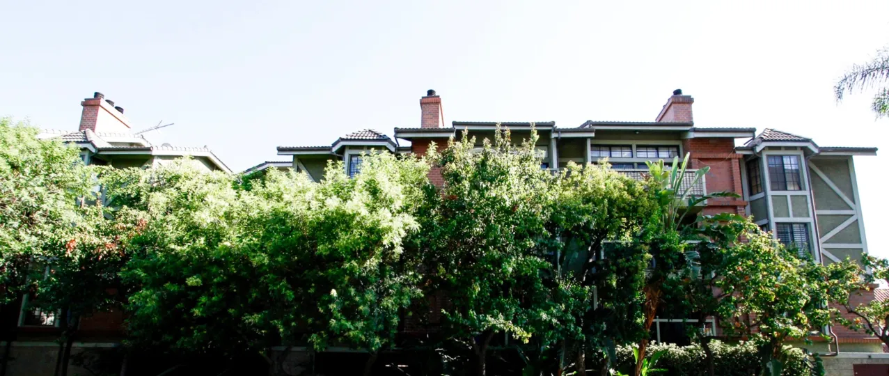 The windows in the Lindley Townhomes building