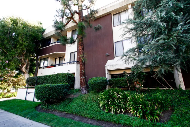 The hedges outside of the Reseda Victory building
