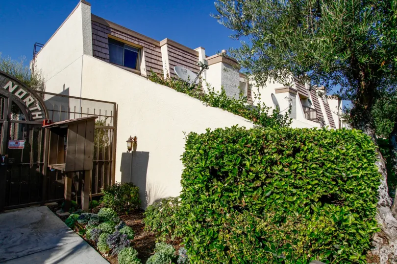 The hedges around Tarzana Villas North