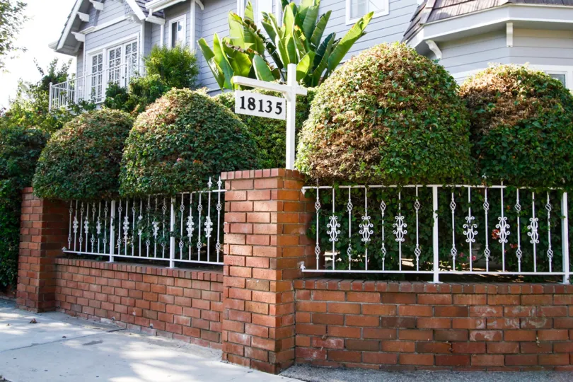 The landscaping around the Windmere Townhomes