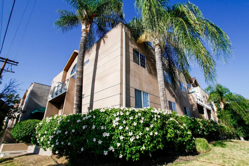 The landscaping of the Yolanda Terrace in CA California