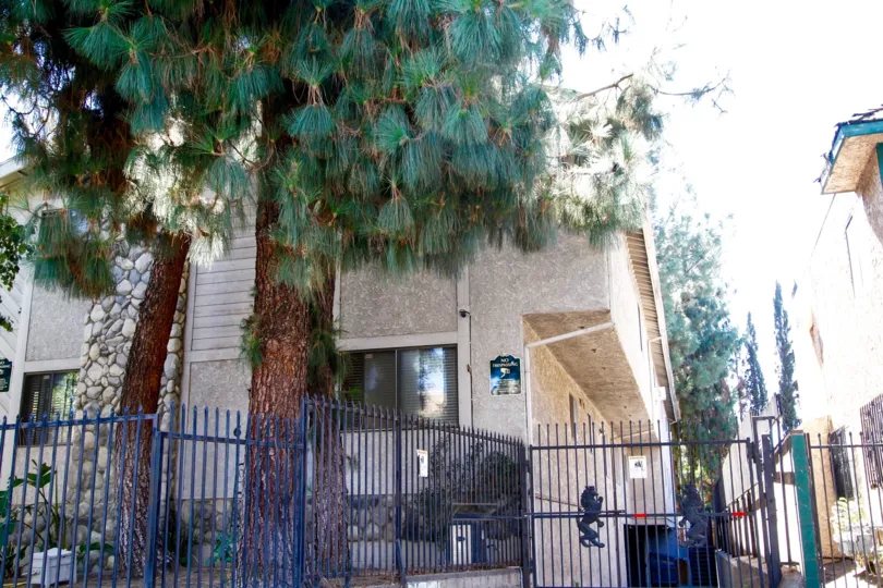 The trees around 6847 Haskell Ave