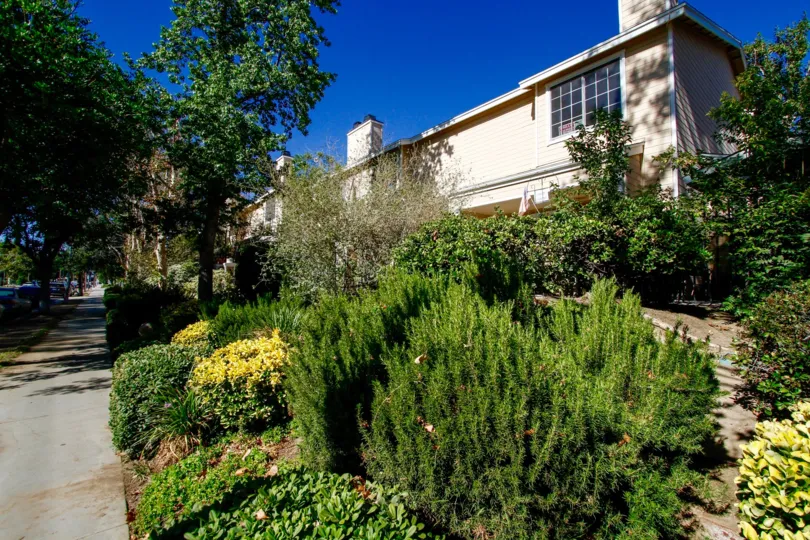 The landscaping around California Oaks in Van Nuys