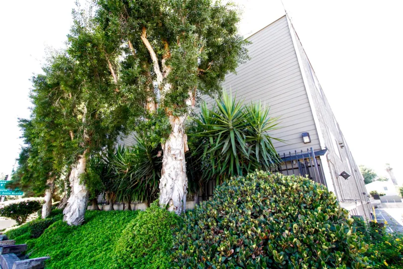 The landscaping around Cape Colony in Van Nuys