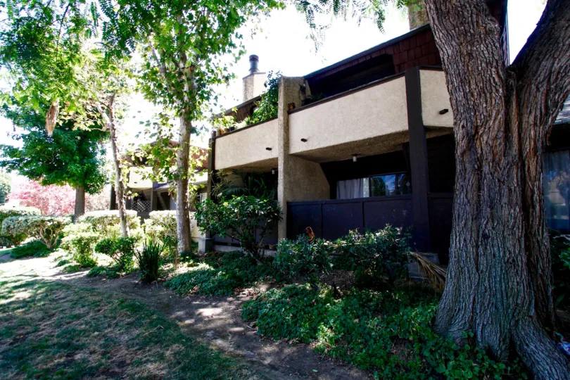 The trees around Parkwood Van Nuys in Van Nuys
