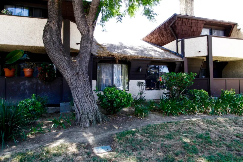 The worn path along Parkwood Van Nuys