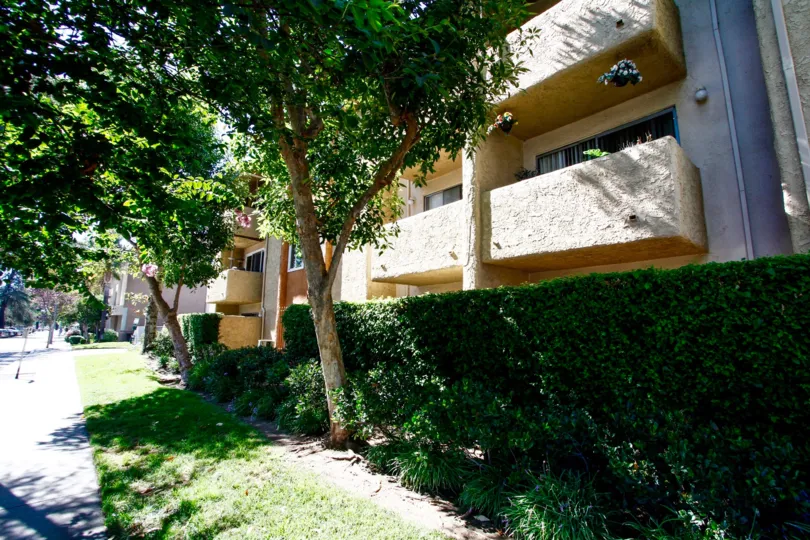 The landscaping for Sonterra