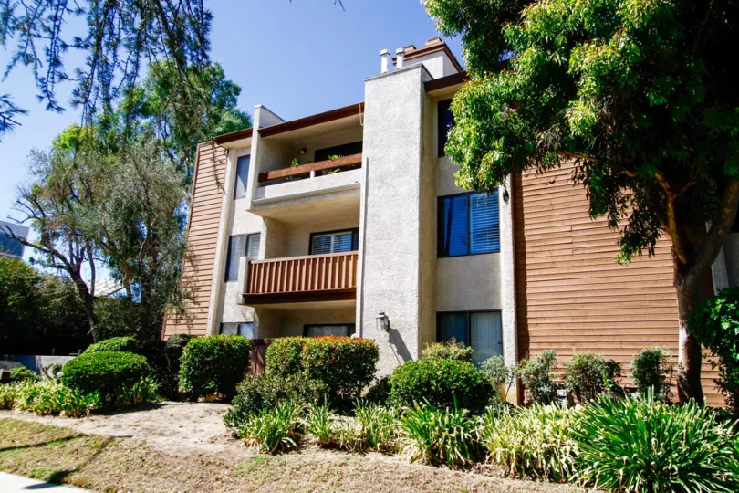 The windows seen in Valley Oaks II