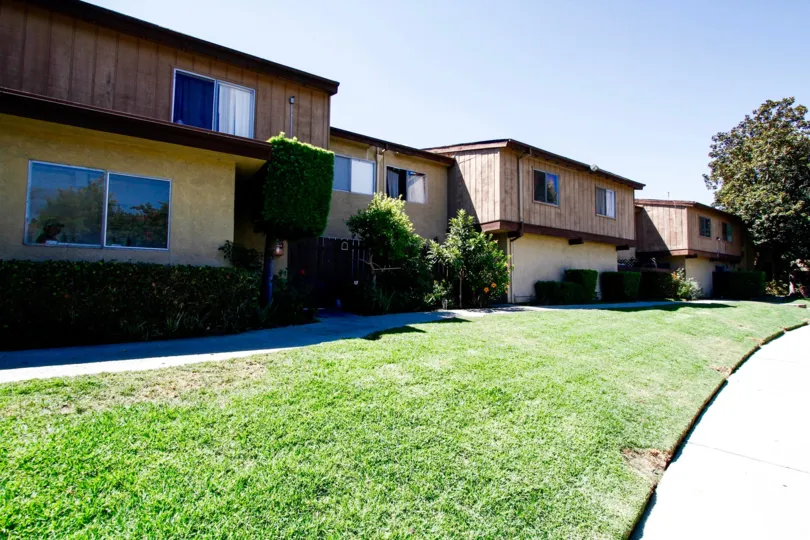 The yard at Walnut Gardens I