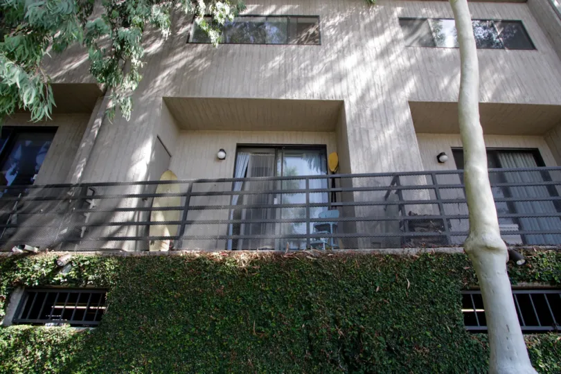 The hedges seen as 2500 Abbot Kinney