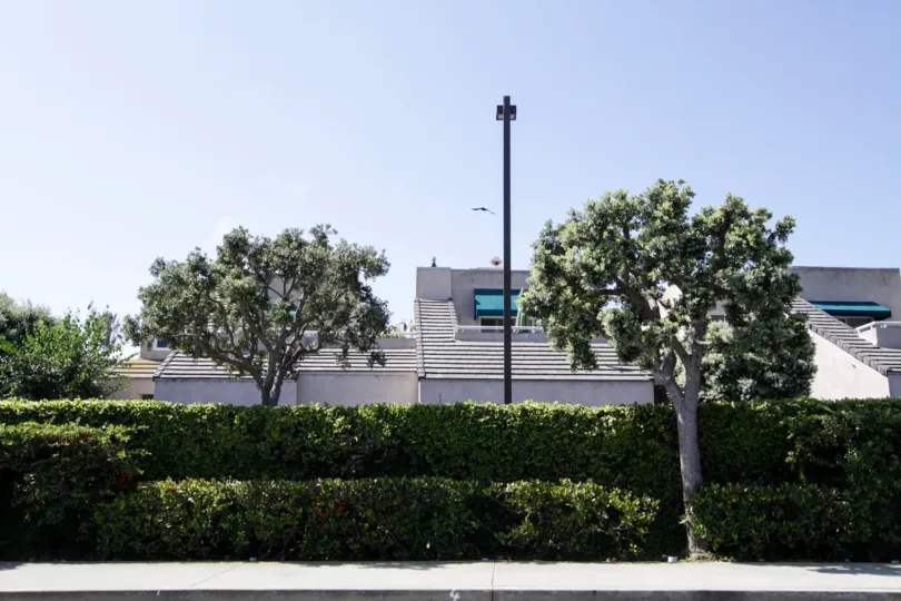 The landscaping around the Del Rey Colony