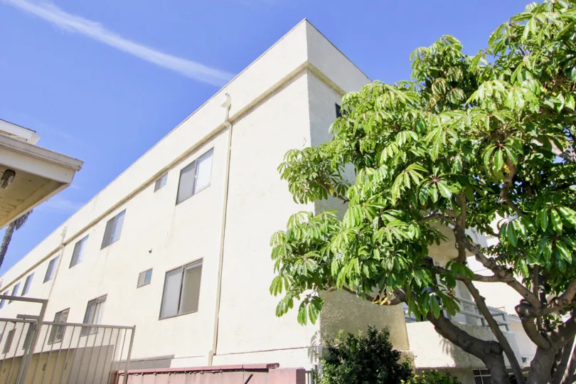 Backside of Marina Breeze community with trees on a sunny day.