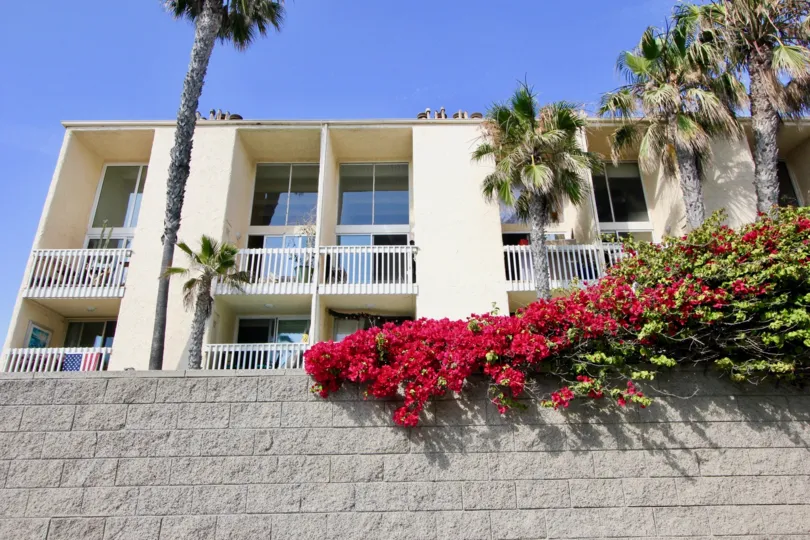 A sunny day with palm trees by apartments at the Navy Estates in Venice, CA