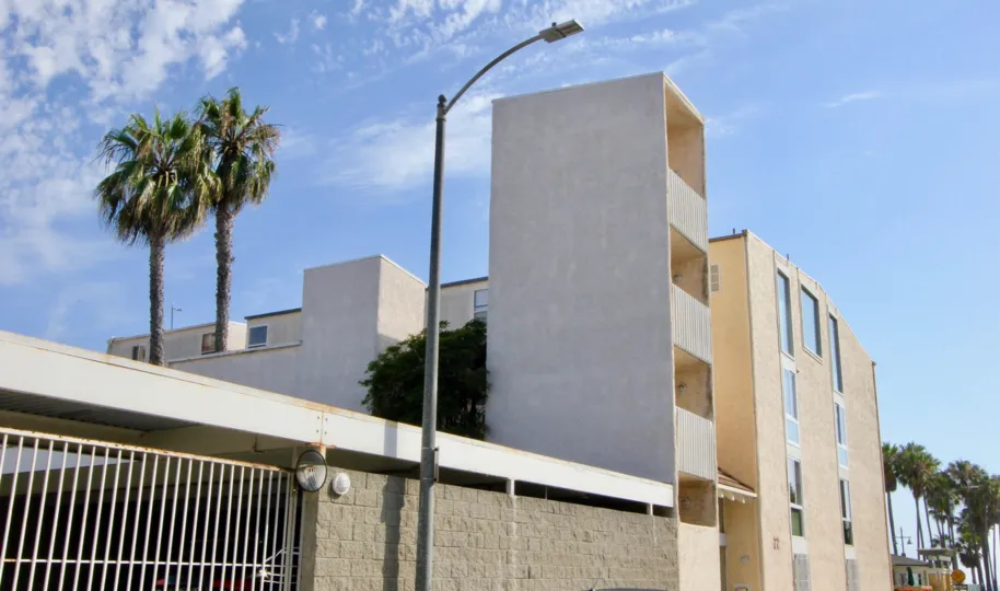 Palm Trees and clear sky near the building at the Navy Estates in Venice, California
