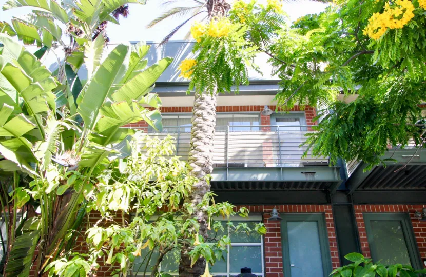 The landscaping at Silicon Beach Lofts